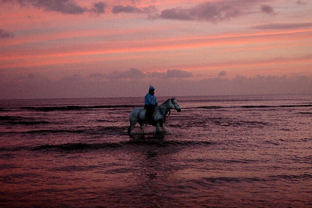 min 2007 11 25 camber plage 070